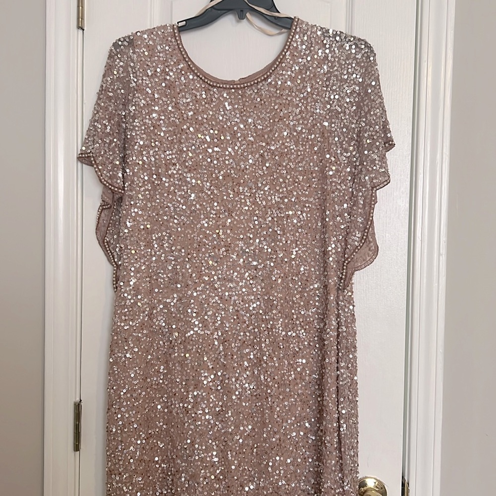 Adrianna Papell beaded and sequin special occasion dress size 22w, never worn.